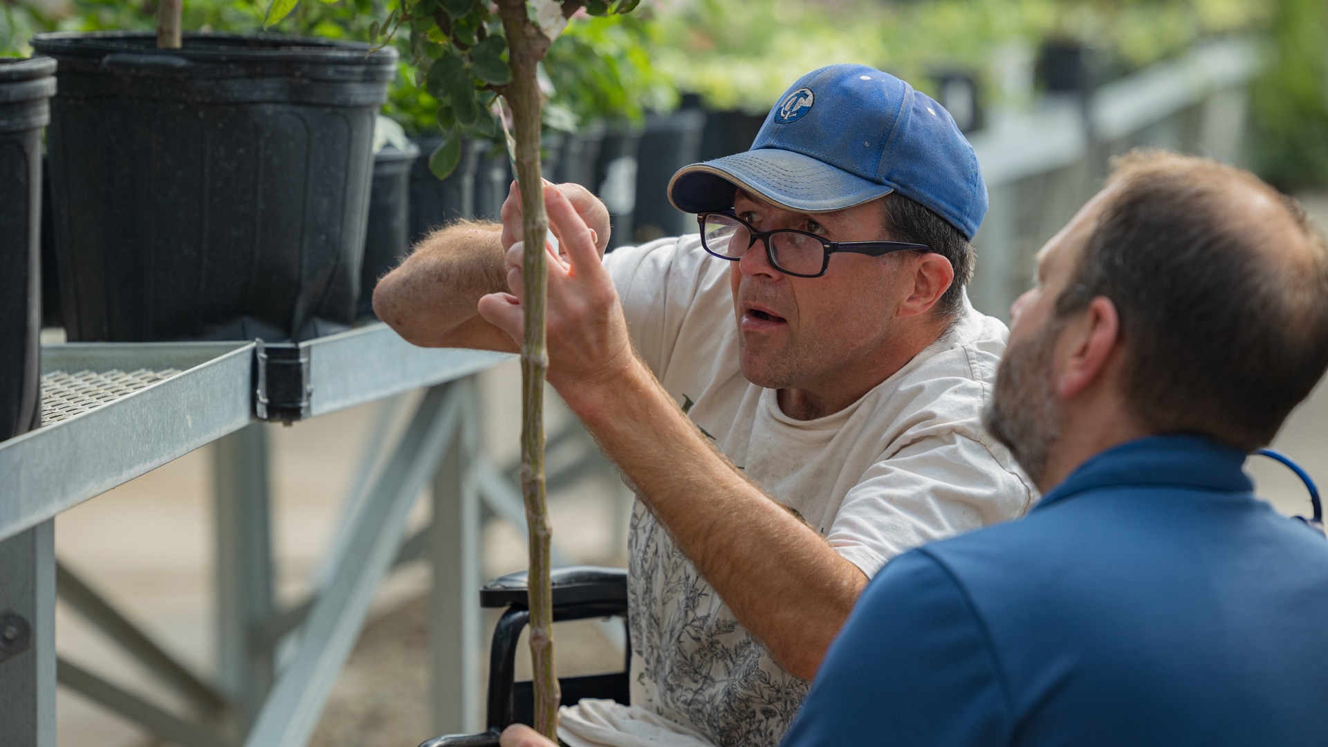 A CARC resident on the job in the greenhouse.