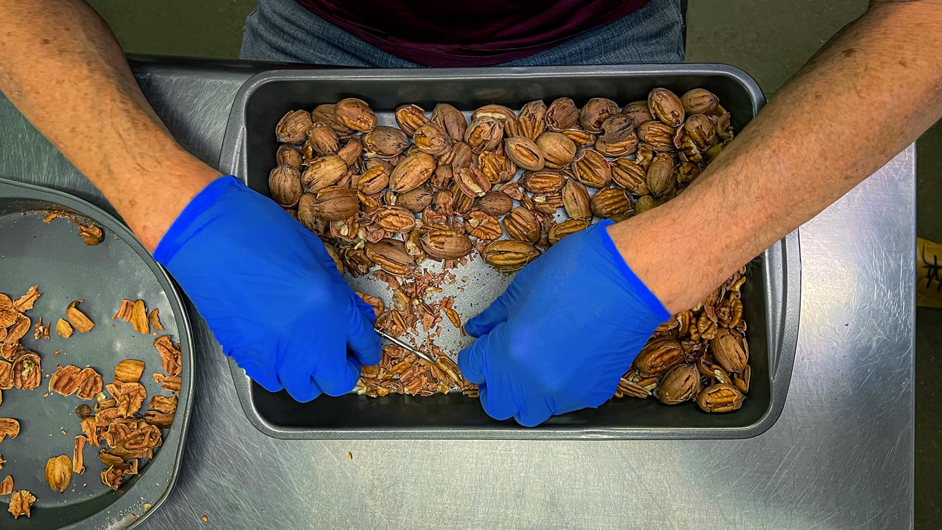 A close up of a CARC resident's hand shelling pecans by hand.