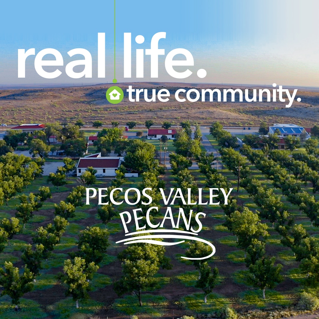 An aerial view of the CARC property including the pecan orchard.