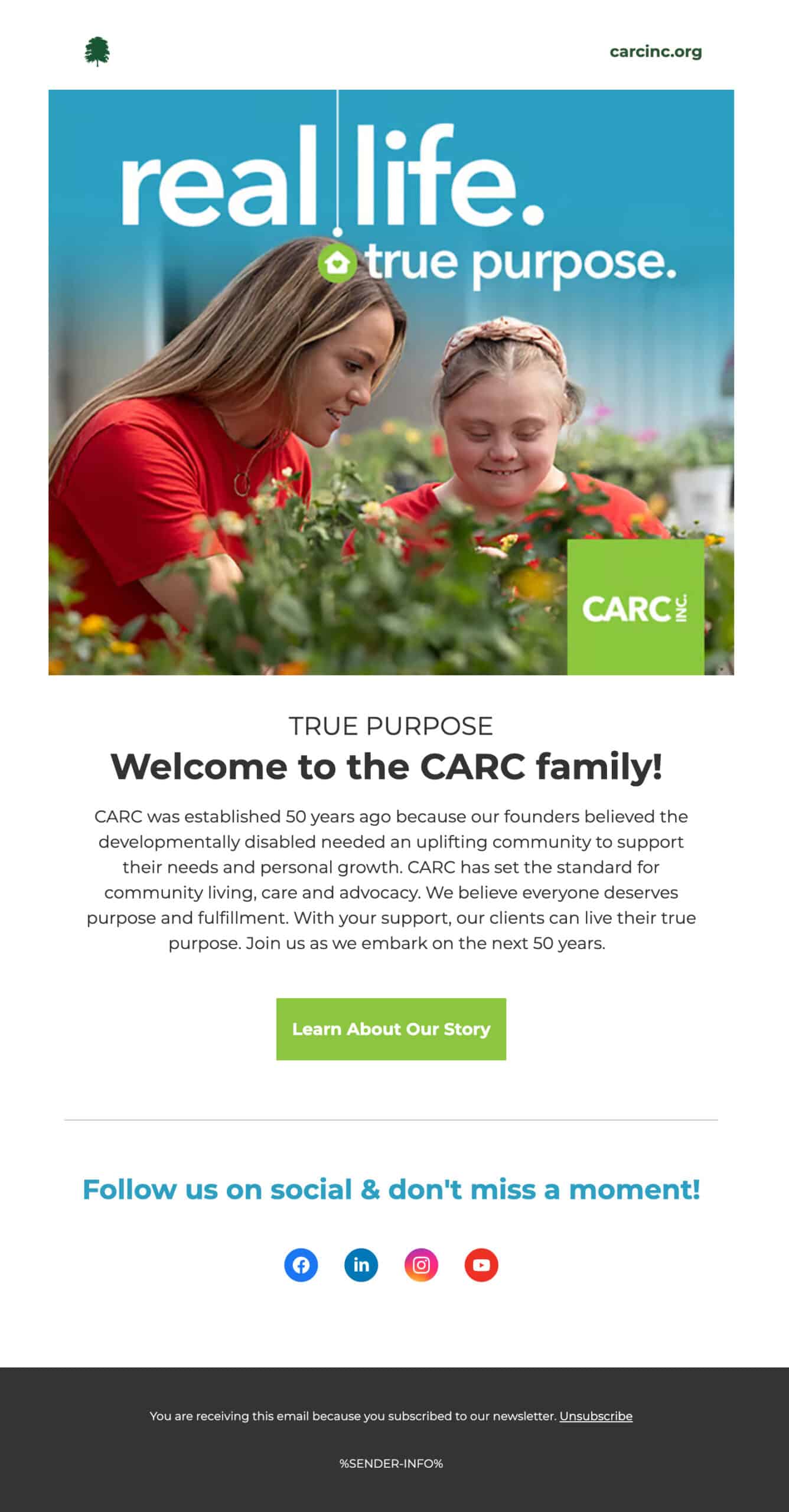 Koch Comm's designed awareness email for CARC, Inc.
