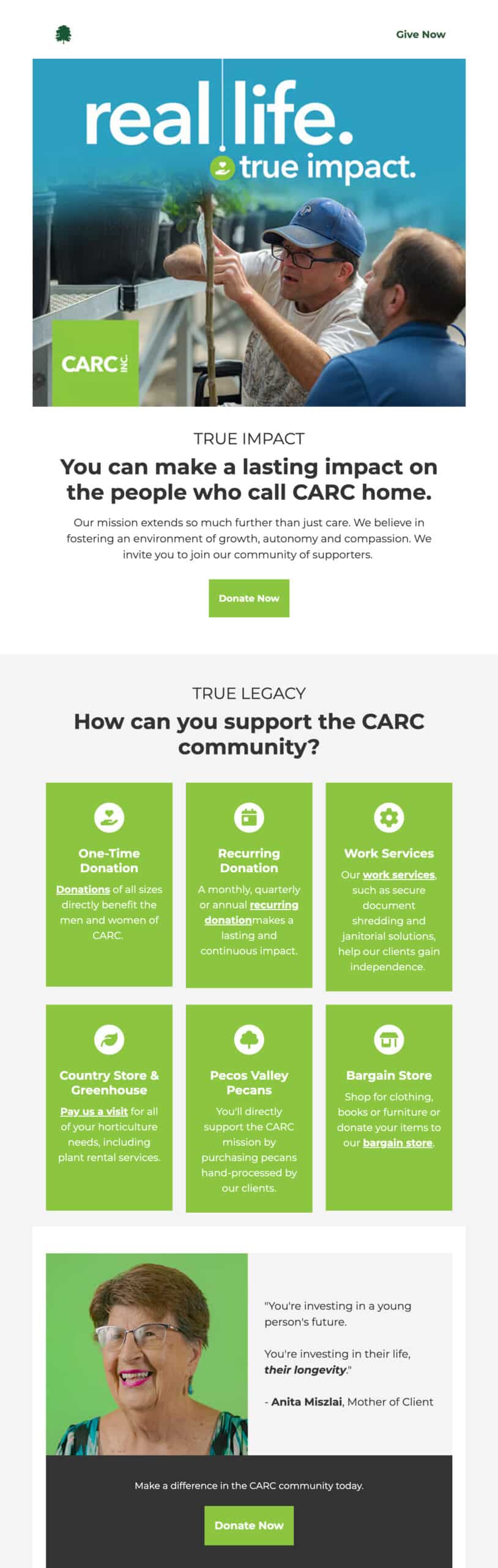 Koch Comm's designed donor email for CARC, INC.